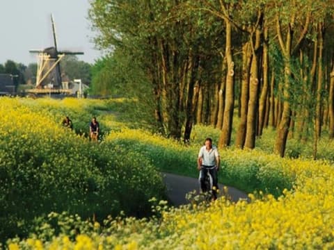 Le perle d'Olanda in bicicletta le-perle-dolanda